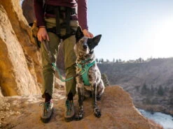 Ruffwear Knot-a-Collar™ Hundehalsband Aurora Teal -Haustierbedarf für Hunde 848748 Product