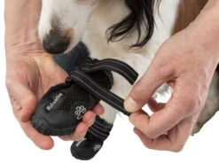 Trixie Walker Active Hundeschuhe Schwarz 9 Trixie Walker Active Hundeschuhe Schwarz -Haustierbedarf für Hunde 858917 Product