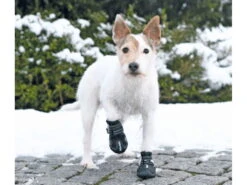 Trixie Walker Active Hundeschuhe Schwarz 10 Trixie Walker Active Hundeschuhe Schwarz -Haustierbedarf für Hunde 858918 Product