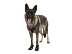 Trixie Walker Active Hundeschuhe Schwarz 11 Trixie Walker Active Hundeschuhe Schwarz -Haustierbedarf für Hunde 858919 Product