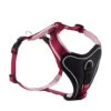 Wolters Hundegeschirr Professional Comfort Himbeer/rosé
