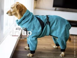 Dryup Body Zip.fit Hundebademantel Petrol