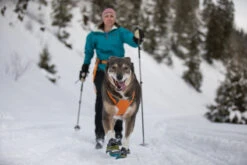 Ruffwear Omnijore™ Joring System Für Cani Cross Und Laufsport -Haustierbedarf für Hunde 864915 Product