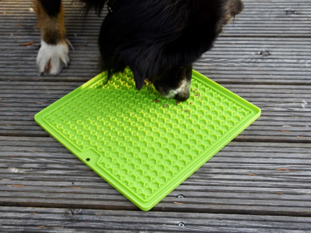 Schleckmatte LadiMat Viereck 30 Cm 2 Schleckmatte LadiMat Viereck 30 Cm – Bild 2