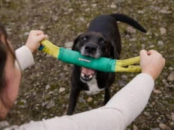 Ruffwear Pacific Loop Hundespielzeug Aurora Teal -Haustierbedarf für Hunde 902772 Product