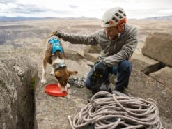 Ruffwear Camp Flyer Hunde-Frisbeescheibe Red Sumac 7 Ruffwear Camp Flyer Hunde-Frisbeescheibe Red Sumac -Haustierbedarf für Hunde 904835 Product