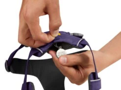 Ruffwear Front Range™ 2.0 Hundegeschirr Purple Sage -Haustierbedarf für Hunde 908658 Product
