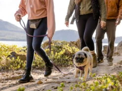 Ruffwear Front Range™ 2.0 Hundegeschirr Purple Sage -Haustierbedarf für Hunde 908663 Product