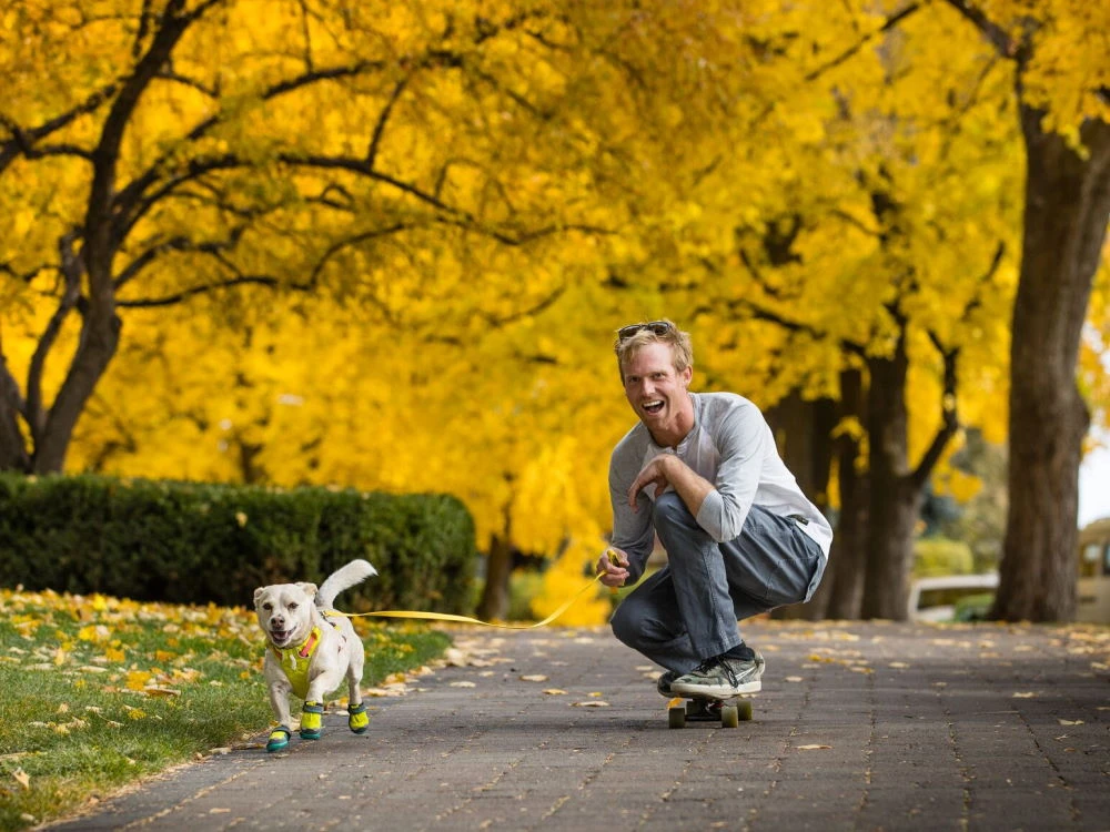 Ruffwear Grip Trex ™ Hundeschuhe Lichen Green 6 Ruffwear Grip Trex ™ Hundeschuhe Lichen Green – Bild 6