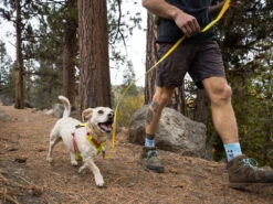 Ruffwear Hi & Light™ Hundegeschirr 2.0 Lichen Green -Haustierbedarf für Hunde 912378 Product