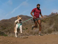 Ruffwear Hi & Light™ Hundegeschirr 2.0 Sage Green -Haustierbedarf für Hunde 912930 Product