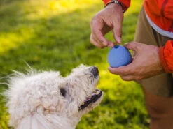 Ruffwear Turnup™ Befüllbares Hundespielzeug Heliotrop Purple -Haustierbedarf für Hunde 915288 Product