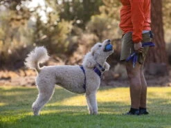 Ruffwear Turnup™ Befüllbares Hundespielzeug Heliotrop Purple -Haustierbedarf für Hunde 915289 Product