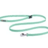 Ruffwear Flagline™ Hundeleine Sage Green