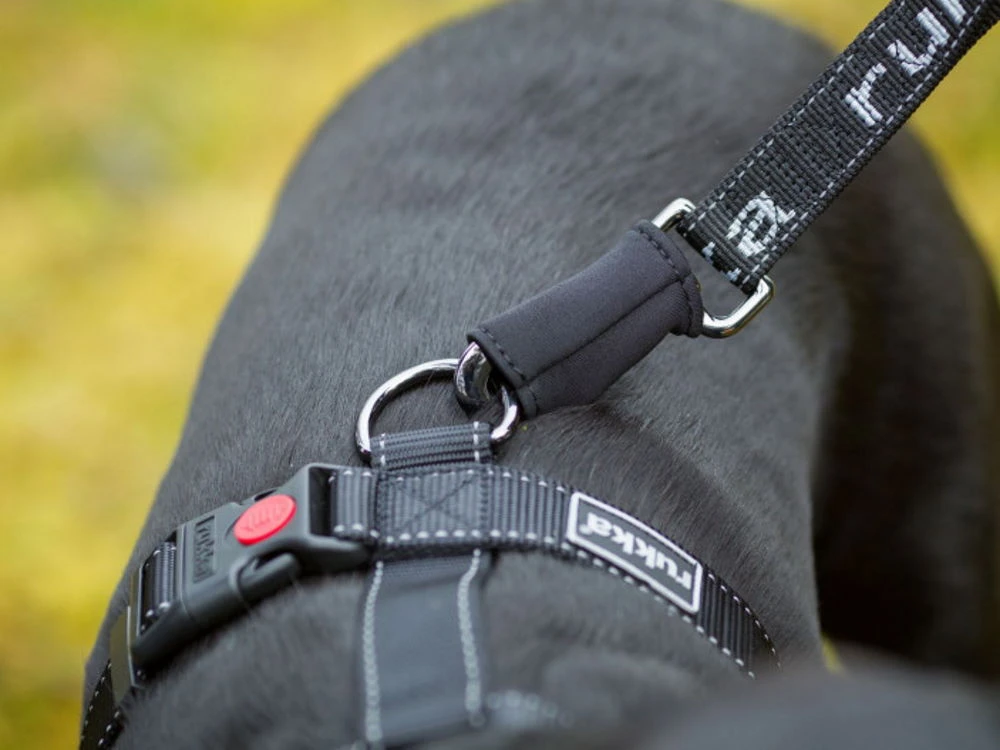 Rukka Pets Wander- Und Joggingleine Für Hunde Grau 2 Rukka Pets Wander- Und Joggingleine Für Hunde Grau – Bild 2