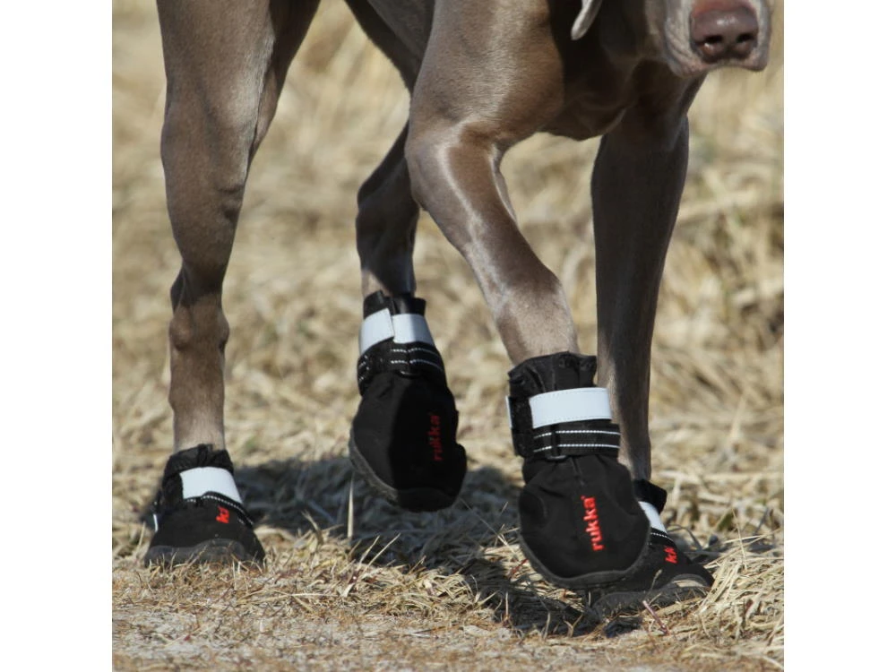 Rukka Pets Proff Shoes Hundeschuhe Black 2 Rukka Pets Proff Shoes Hundeschuhe Black – Bild 2