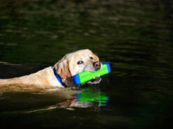 Chuckit Dummy Amphibious Bumper Small -Haustierbedarf für Hunde 938177 Product