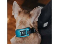 Hunter Divo Hundehalsband Hellblau/grau 10 Hunter Divo Hundehalsband Hellblau/grau -Haustierbedarf für Hunde 939585 Product