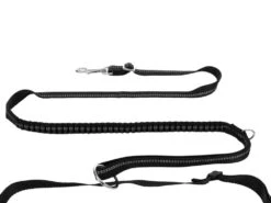 Trixie Jogginggurt Mit Leine -Haustierbedarf für Hunde 940657 Product