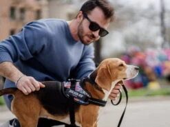 Haustierbedarf für Hunde -Haustierbedarf für Hunde 944985 Product