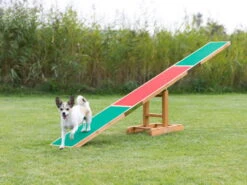 Trixie Dog Activity Fun Agility Wippe Aus Kiefernholz -Haustierbedarf für Hunde 963430 Product