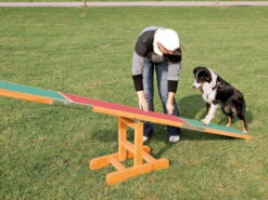 Trixie Dog Activity Fun Agility Wippe Aus Kiefernholz -Haustierbedarf für Hunde 963431 Product