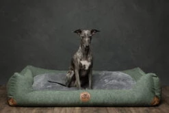 Swaggin Tails Hundebett Sömnig Waldgrün -Haustierbedarf für Hunde 966088 Product