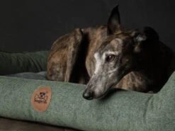 Swaggin Tails Hundebett Sömnig Waldgrün -Haustierbedarf für Hunde 966089 Product