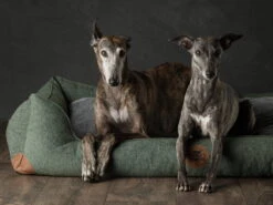 Swaggin Tails Hundebett Sömnig Waldgrün -Haustierbedarf für Hunde 966090 Product