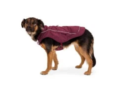 Ruffwear Overcoat Fuse Hundemantel-Geschirr Purple Rain -Haustierbedarf für Hunde 967761 Product