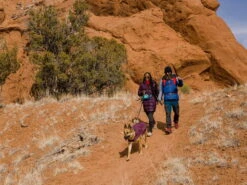 Ruffwear Overcoat Fuse Hundemantel-Geschirr Purple Rain -Haustierbedarf für Hunde 967762 Product