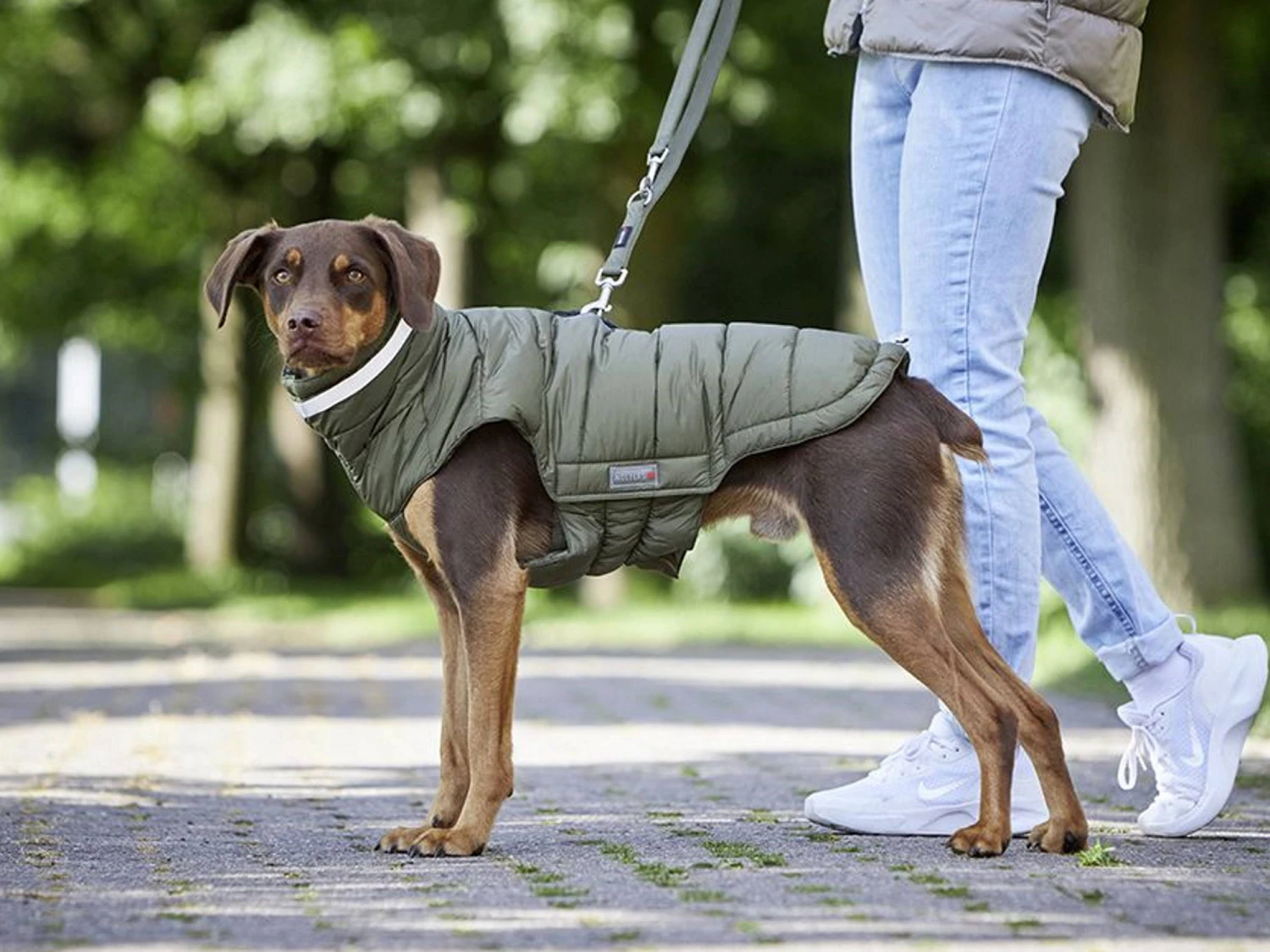 Wolters Steppjacke Cosy Warmer Hundemantel Olive 2 Wolters Steppjacke Cosy Warmer Hundemantel Olive – Bild 2