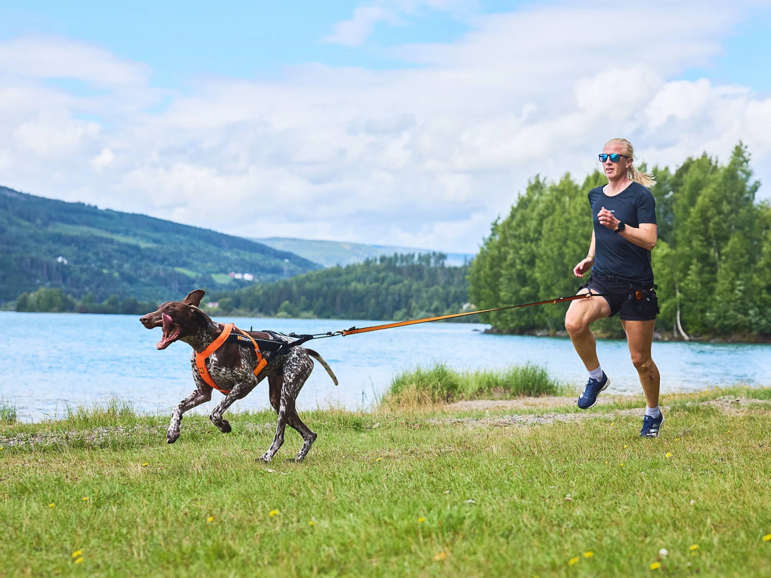 Non-Stop Dogwear Zughundegeschirr Freemotion Harness 5.0 Orange 8 Non-Stop Dogwear Zughundegeschirr Freemotion Harness 5.0 Orange – Bild 8