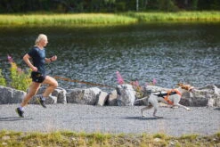 Non-Stop Dogwear Zughundegeschirr Freemotion Harness 5.0 Orange 18 Non-Stop Dogwear Zughundegeschirr Freemotion Harness 5.0 Orange -Haustierbedarf für Hunde 978360 Product