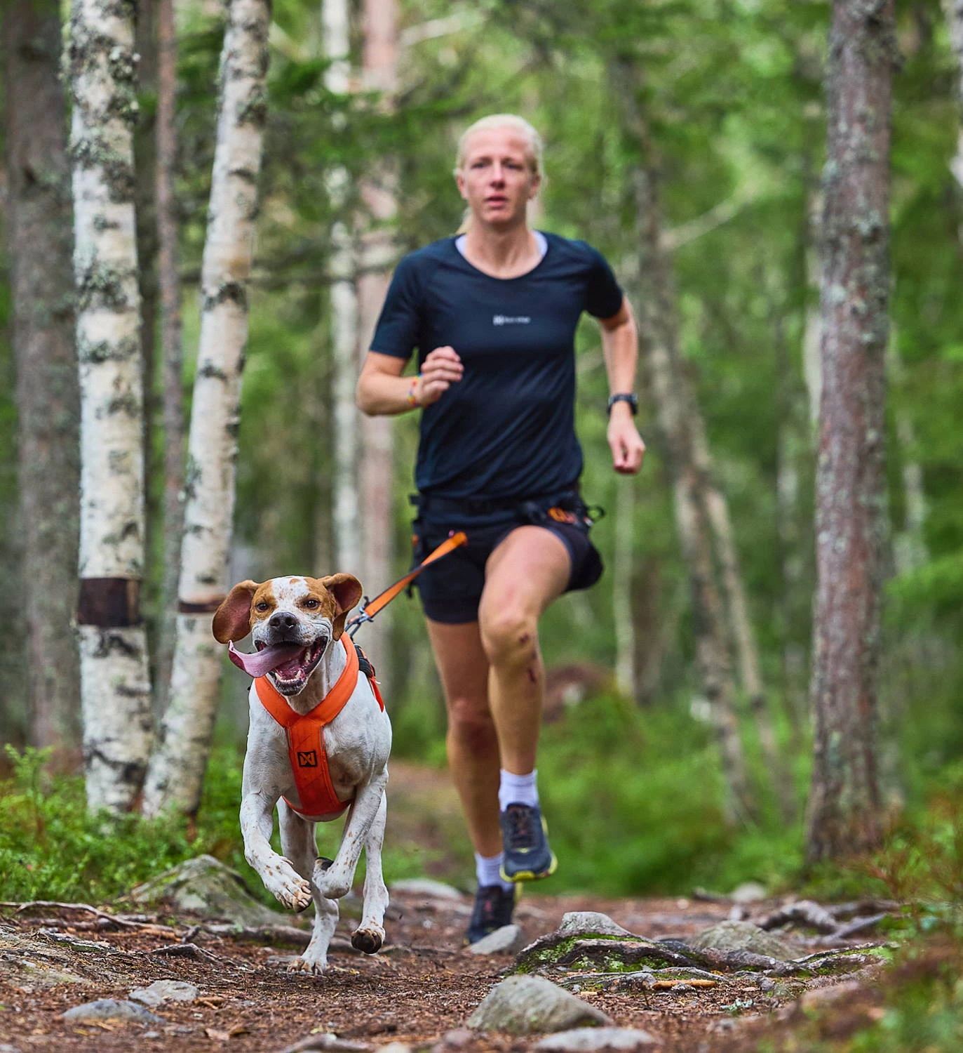 Non-Stop Dogwear Zughundegeschirr Freemotion Harness 5.0 Orange 10 Non-Stop Dogwear Zughundegeschirr Freemotion Harness 5.0 Orange – Bild 10