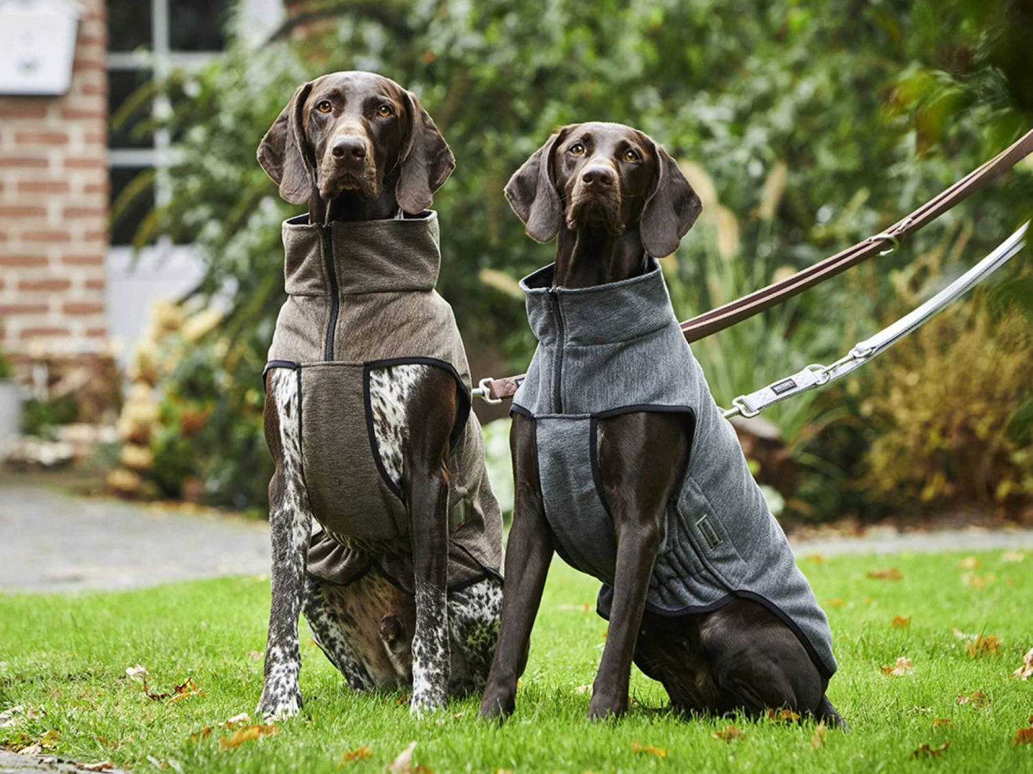 Wolters Hundejacke Fleece Casual Soft & Dry Olive Meliert 2 Wolters Hundejacke Fleece Casual Soft & Dry Olive Meliert – Bild 2