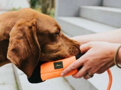 Hunter Trainer Snack Dummy Mit Seil -Haustierbedarf für Hunde 995696 Product