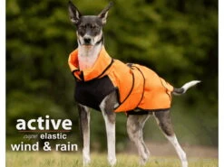 Active Cape Elastic Wind & Rain Mini Orange