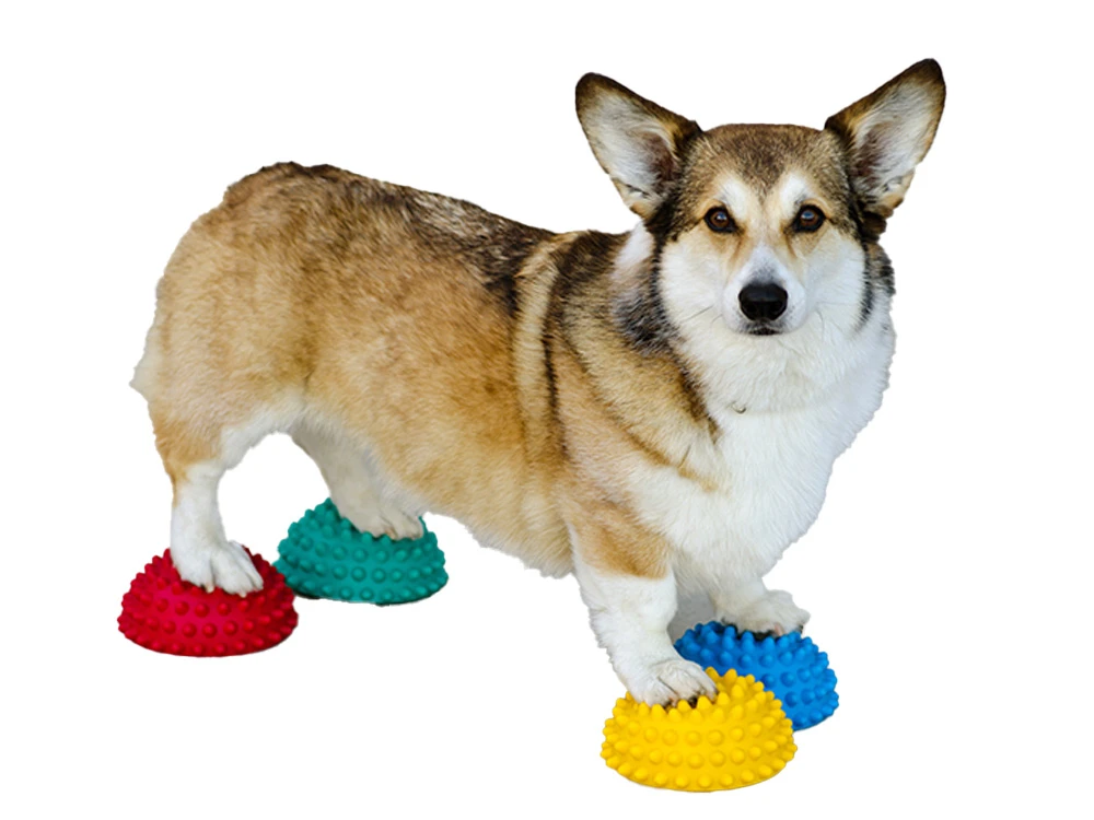 FitPAWS® Paw Pods Set 1 FitPAWS® Paw Pods Set